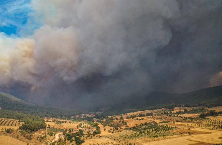 Sakarya'daki orman yangını Bilecik tarafına sıçradı: Havadan ve karadan müdahale sürüyor