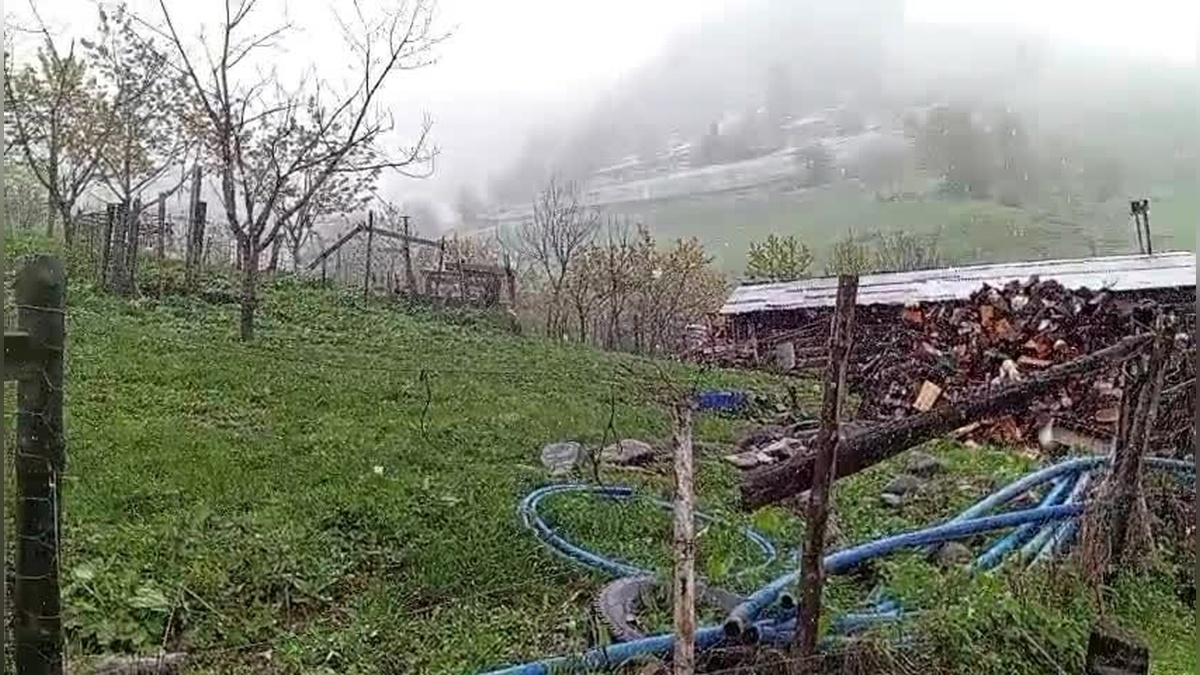 Artvin'de Beklenmedik Kar Yağışı Çiftçileri Tedirgin Etti