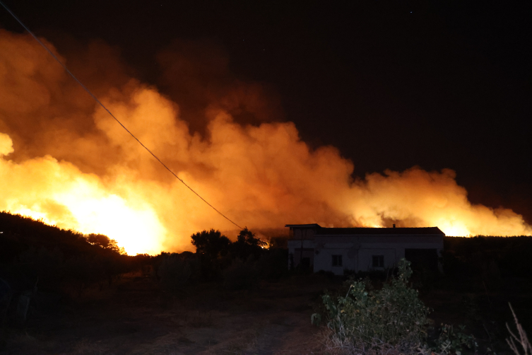 Tekirdağ'daki orman yangını Çanakkale'ye sıçradı
