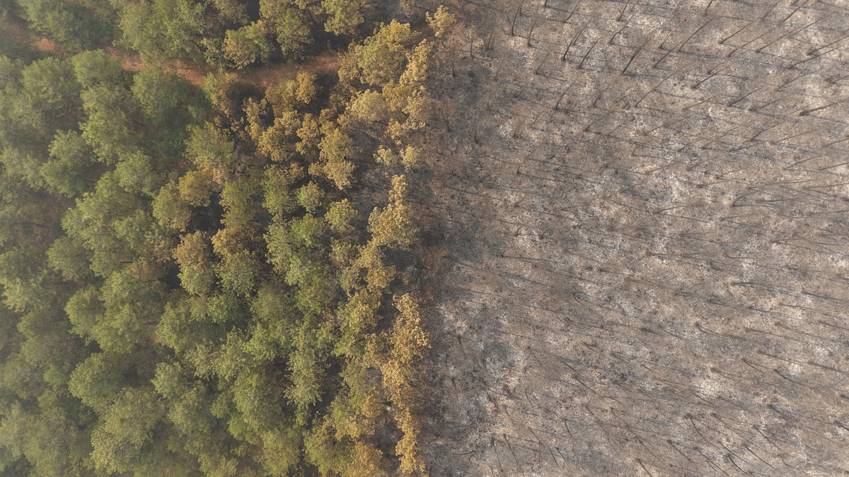 Bursa'da orman yangınıyla mücadele sürüyor: Dronla havadan görüntüleme