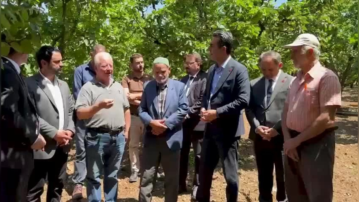 Sakarya'da ayva üreticileri zor durumda: CHP'den destek çağrısı