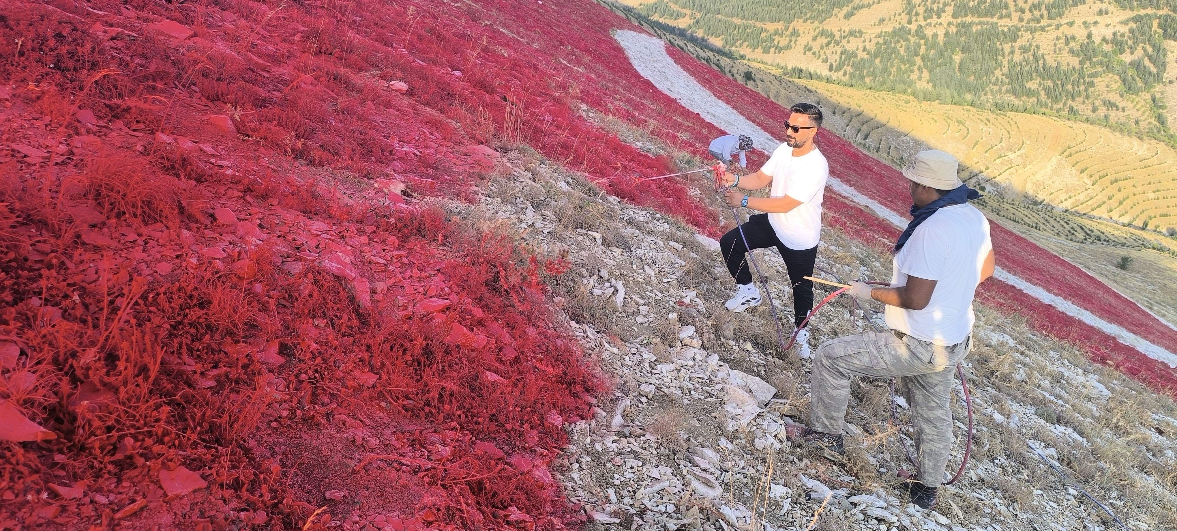 Bahçeşehi̇r Dev Bayrak (8)