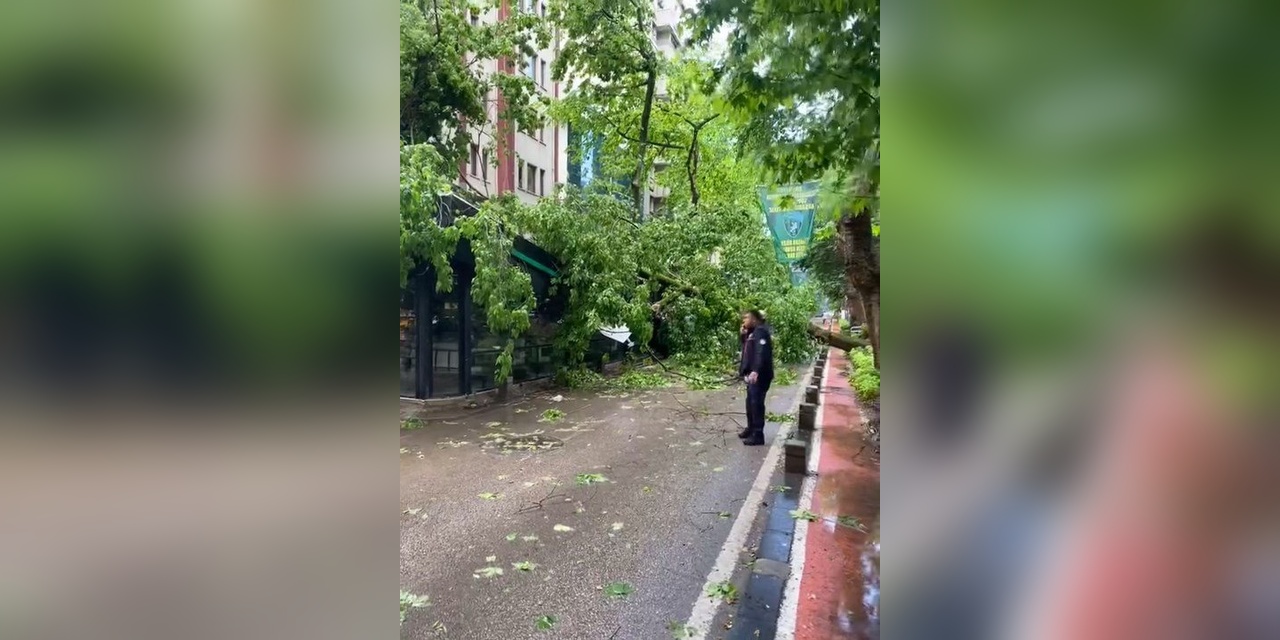 Kocaeli'nde şiddetli rüzgar, kafeyi yıktı