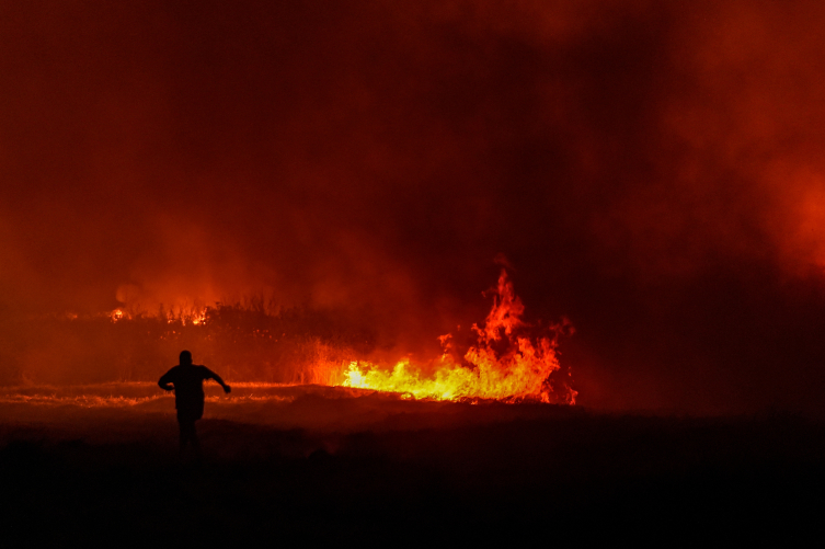 Tekirdağ'daki orman yangını Çanakkale'ye sıçradı
