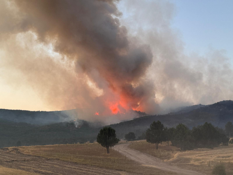 6 ilde alevlerle mücadele sürüyor