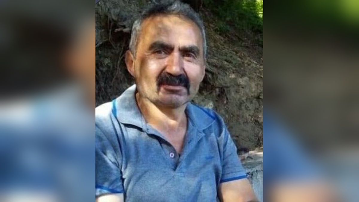 Bolu'da ağaç kesimi kazası: İşçi hayatını kaybetti