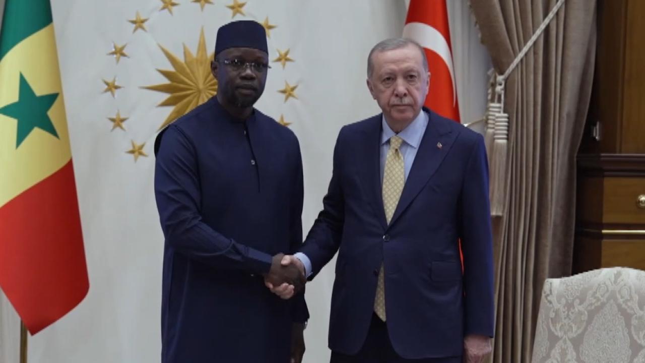 erdogan-sonko-2387166.jpg