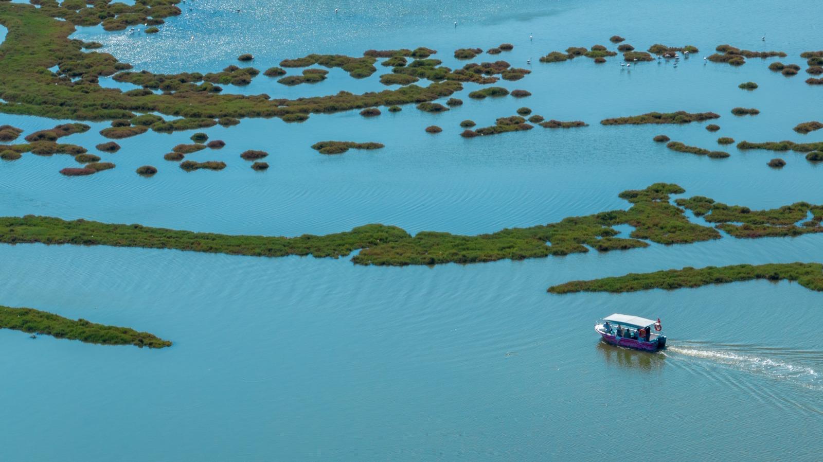 Photo 2025 08 17 19 37 34 4