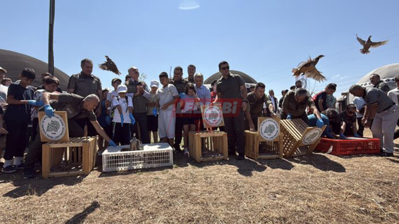 2025 08 05 11 26 I M G 9121 800X400