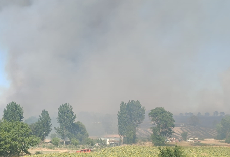 2 ilde orman yangını