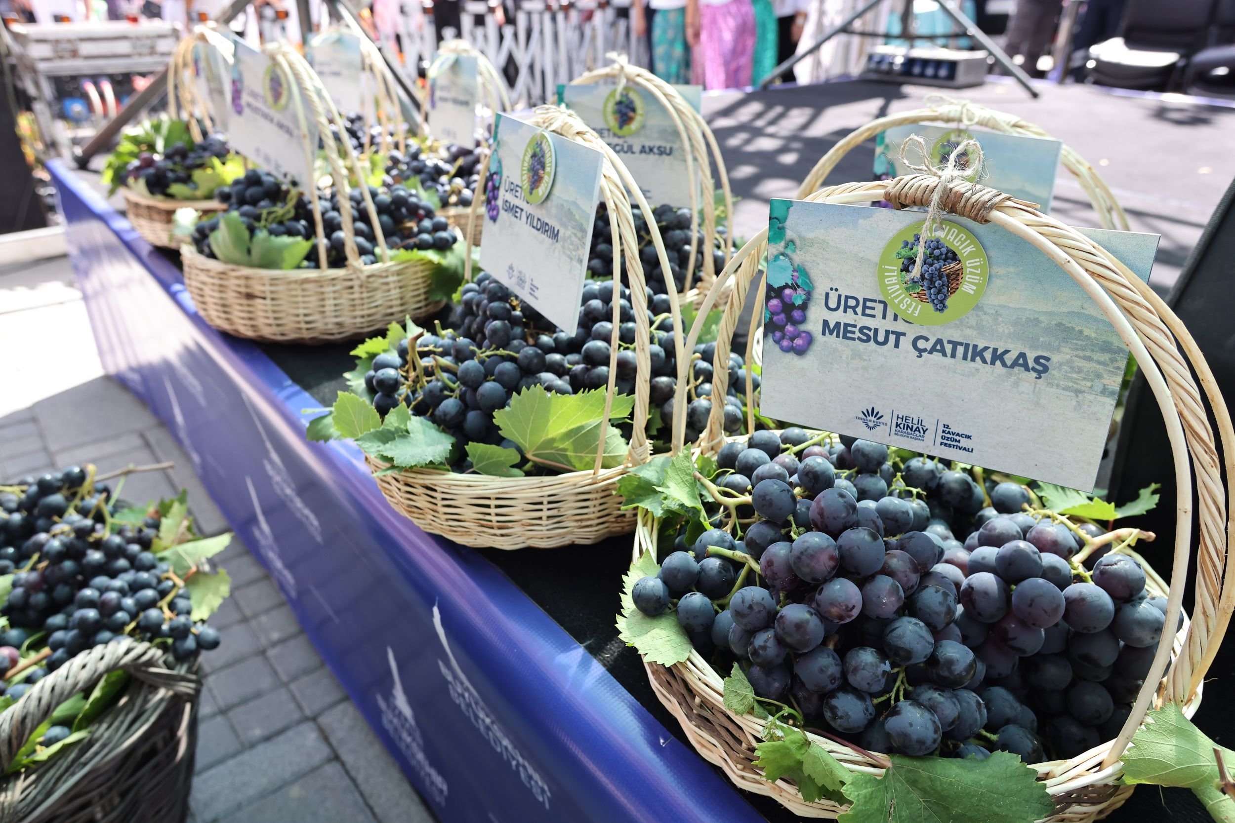 Kavacık Köyü Üzüm Festivali (1)