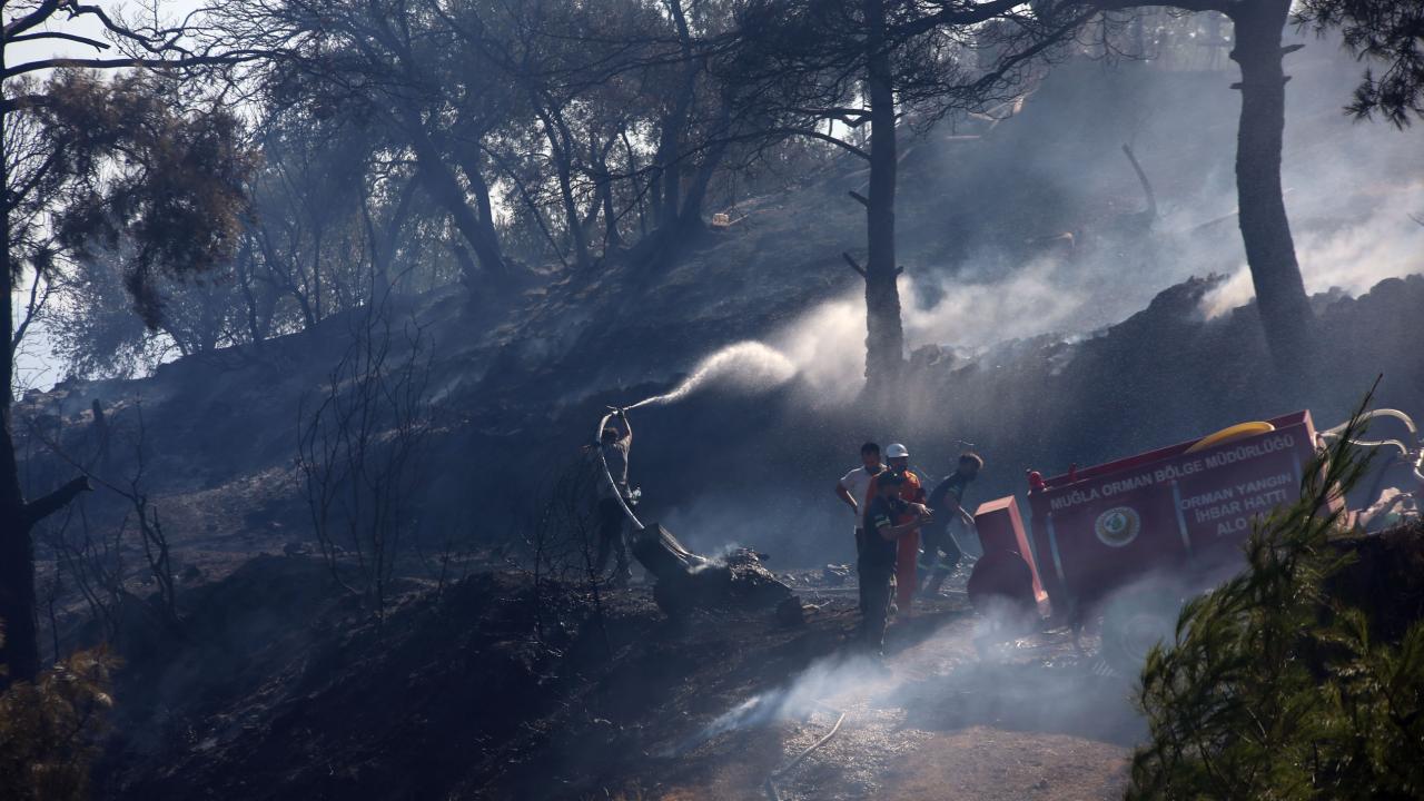 aydin-efeler-orman-yangini-2385164.jpg