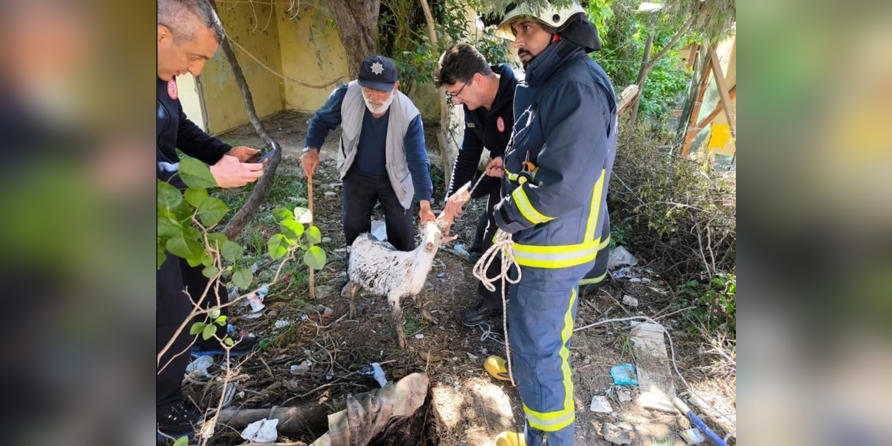 Yalova'da logar kuyusuna düşen keçi itfaiye tarafından kurtarıldı