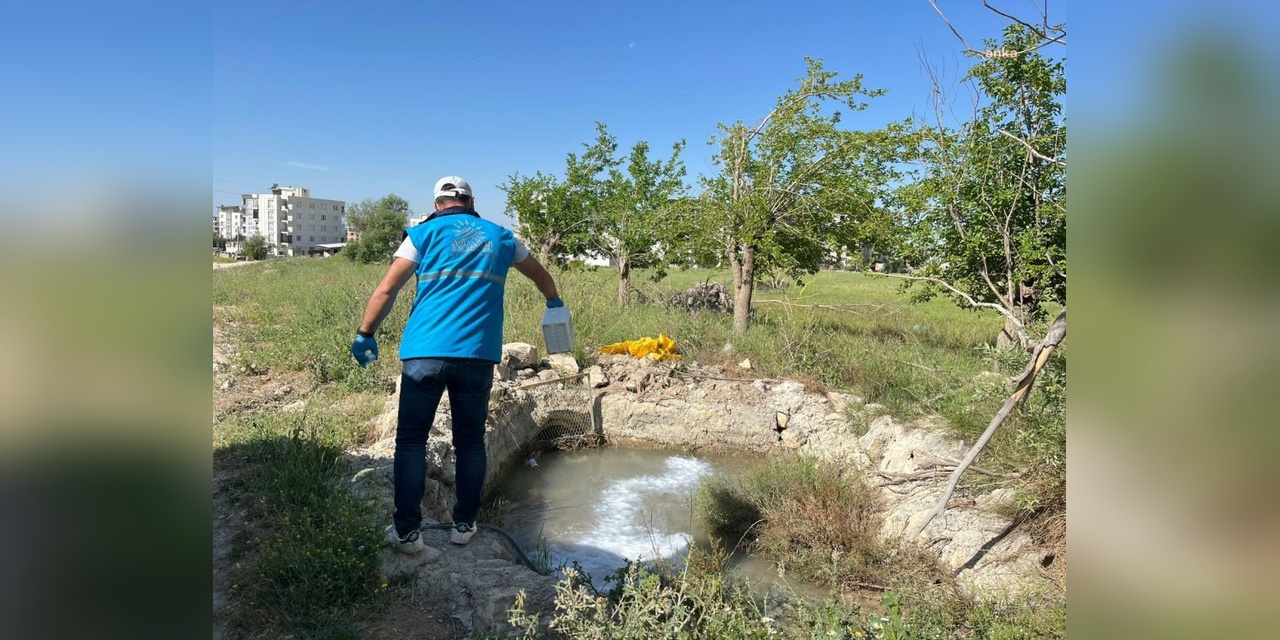 Adıyaman'da uçkunla mücadele: Yaz aylarına hazırlık çalışmaları başladı