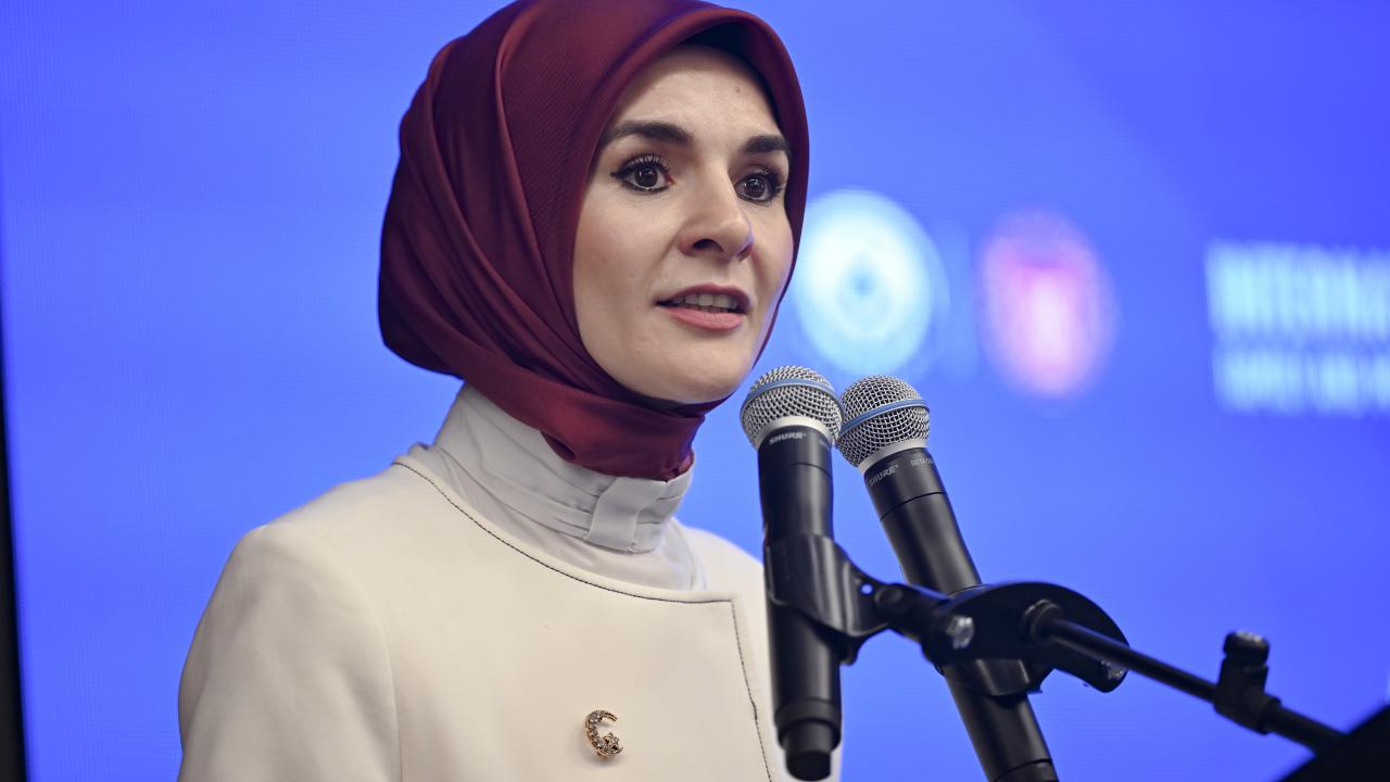 goktas-2360659.jpg
