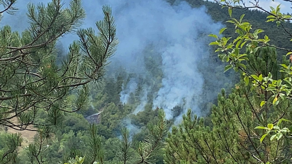 Bolu'da orman yangını kontrol altına alındı