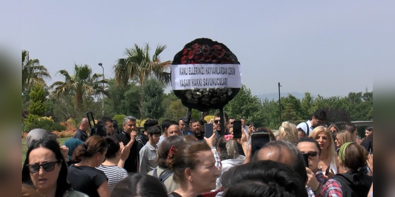 Bursa Osmangazi Hayvan Barınağı'nda 'Katliam' İddiası: Görevden Alma ve Suç Duyurusu
