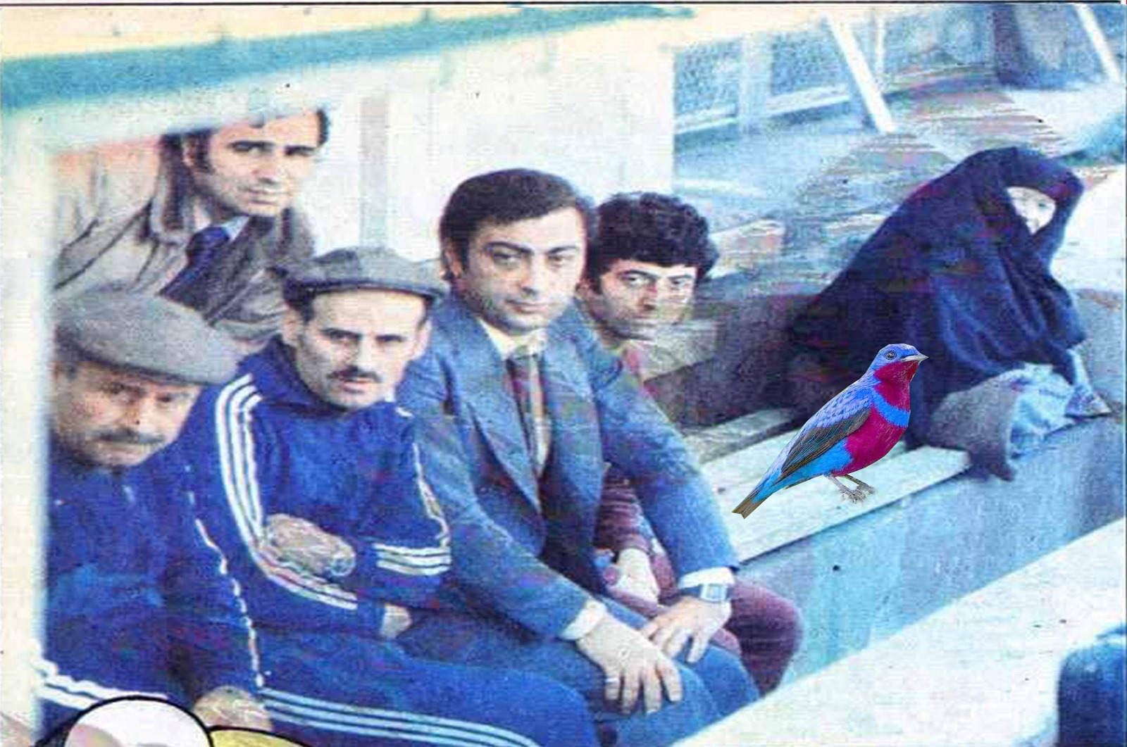 trabzonspor-kulubesi.jpg