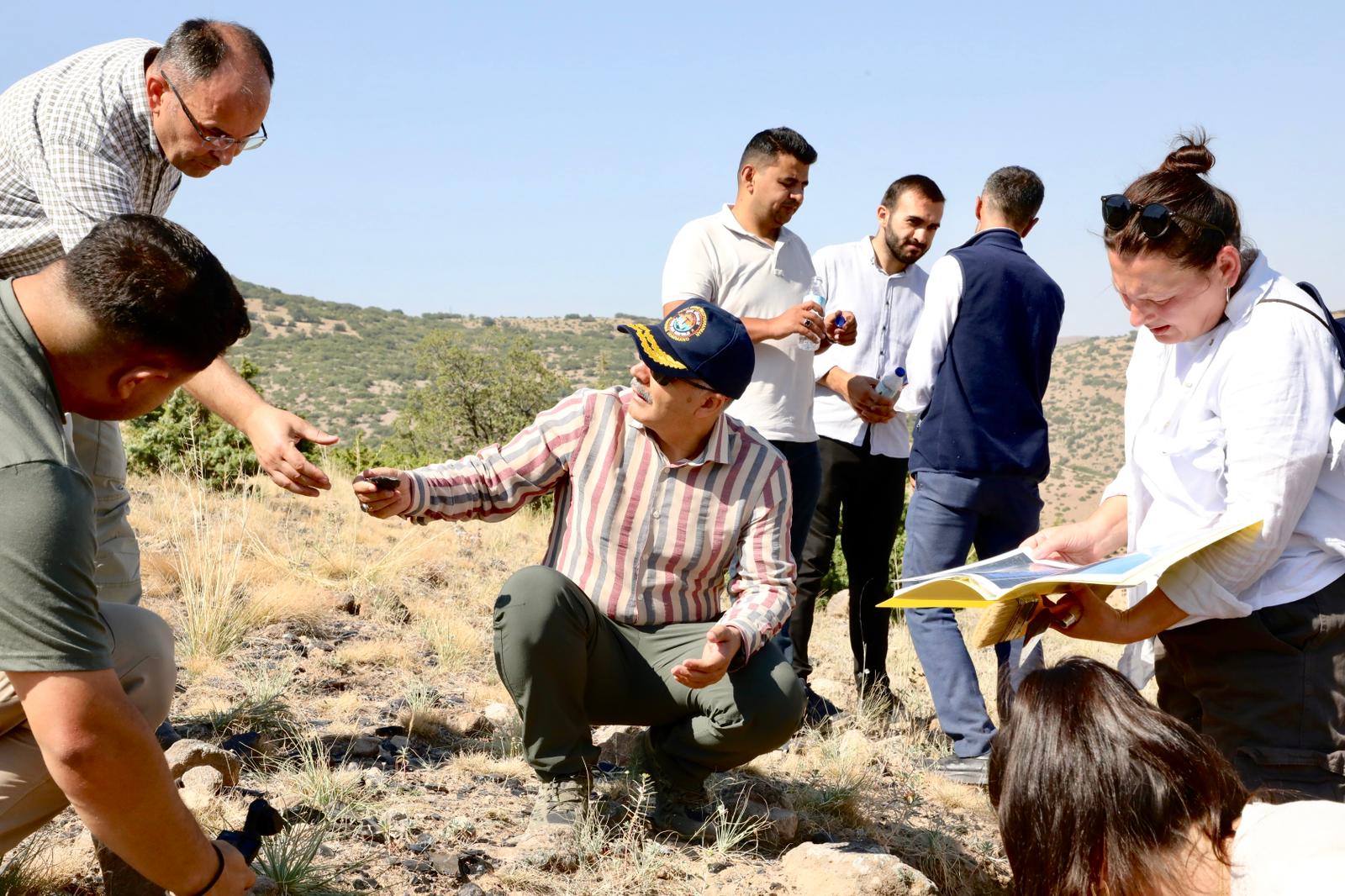 Gyti Y W Wo A A4Ay E