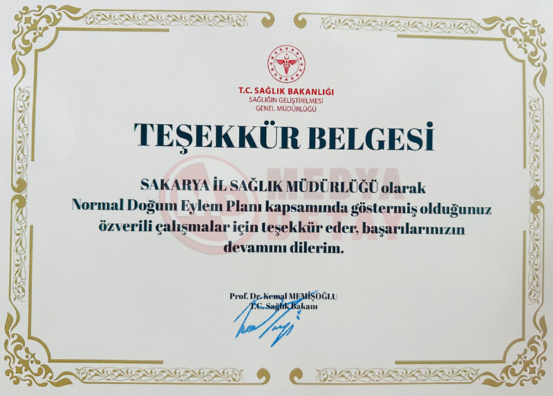 Normal Dogum2