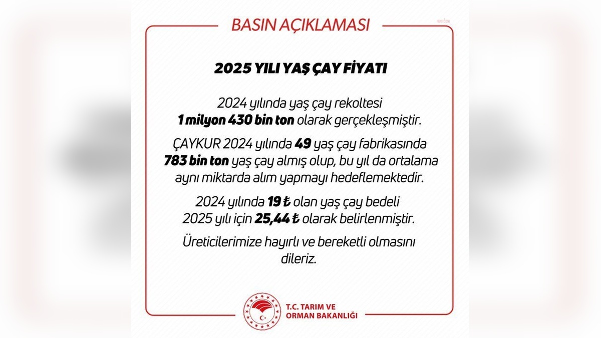 Yaş Çay Alım Fiyatı 2025'te 25,44 TL Oldu