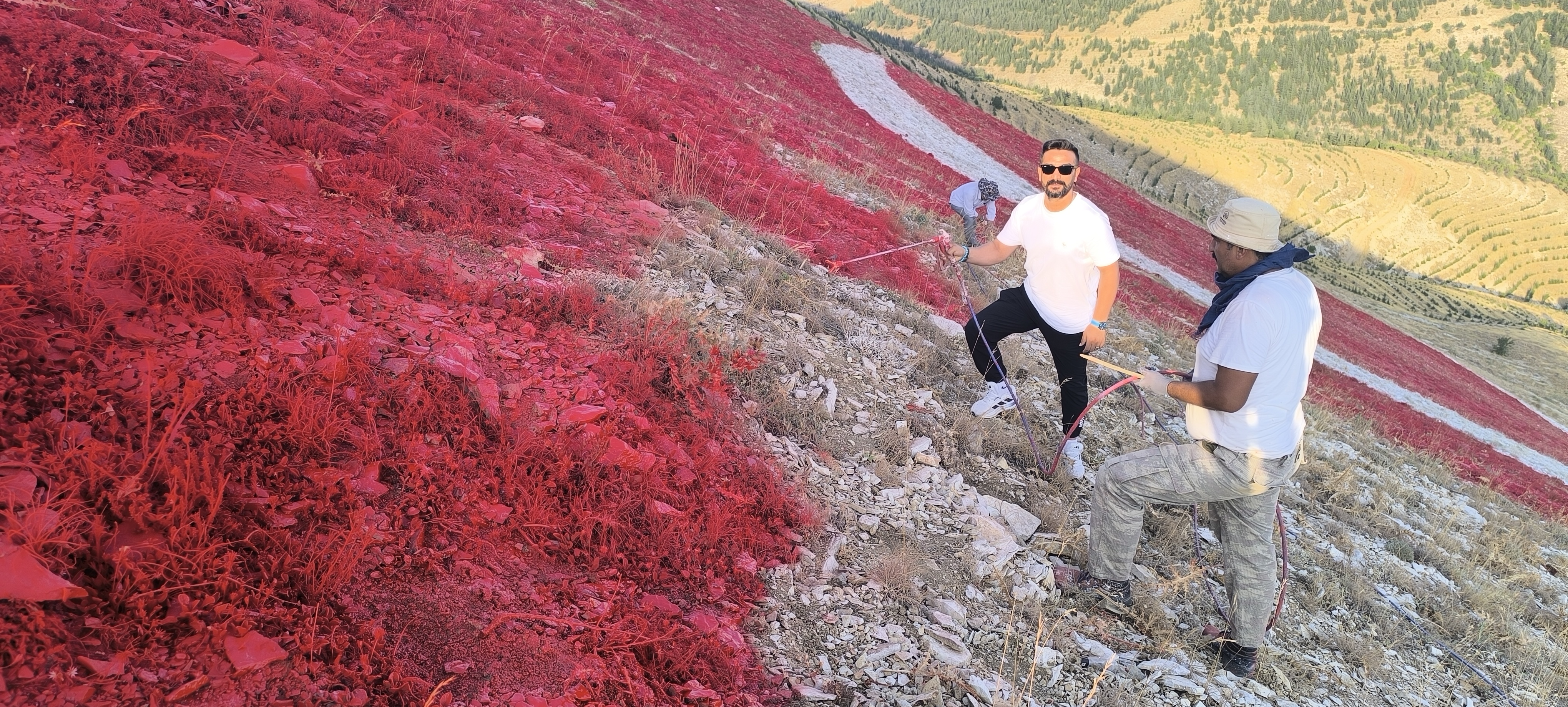 Bahçeşehi̇r Dev Bayrak (6)