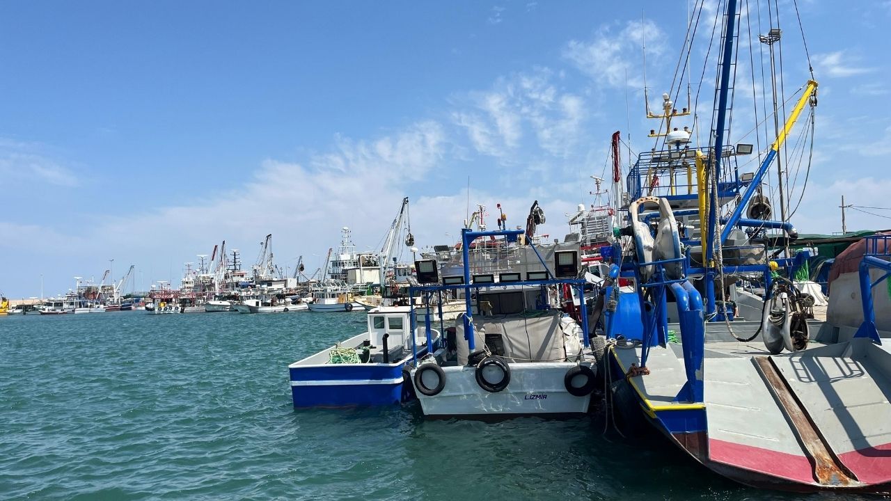 Balık Sezonu2