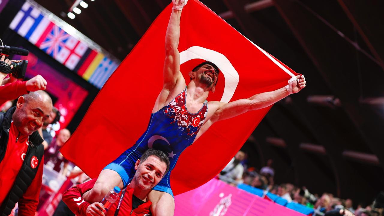 kerem-kamal-2350632.jpg