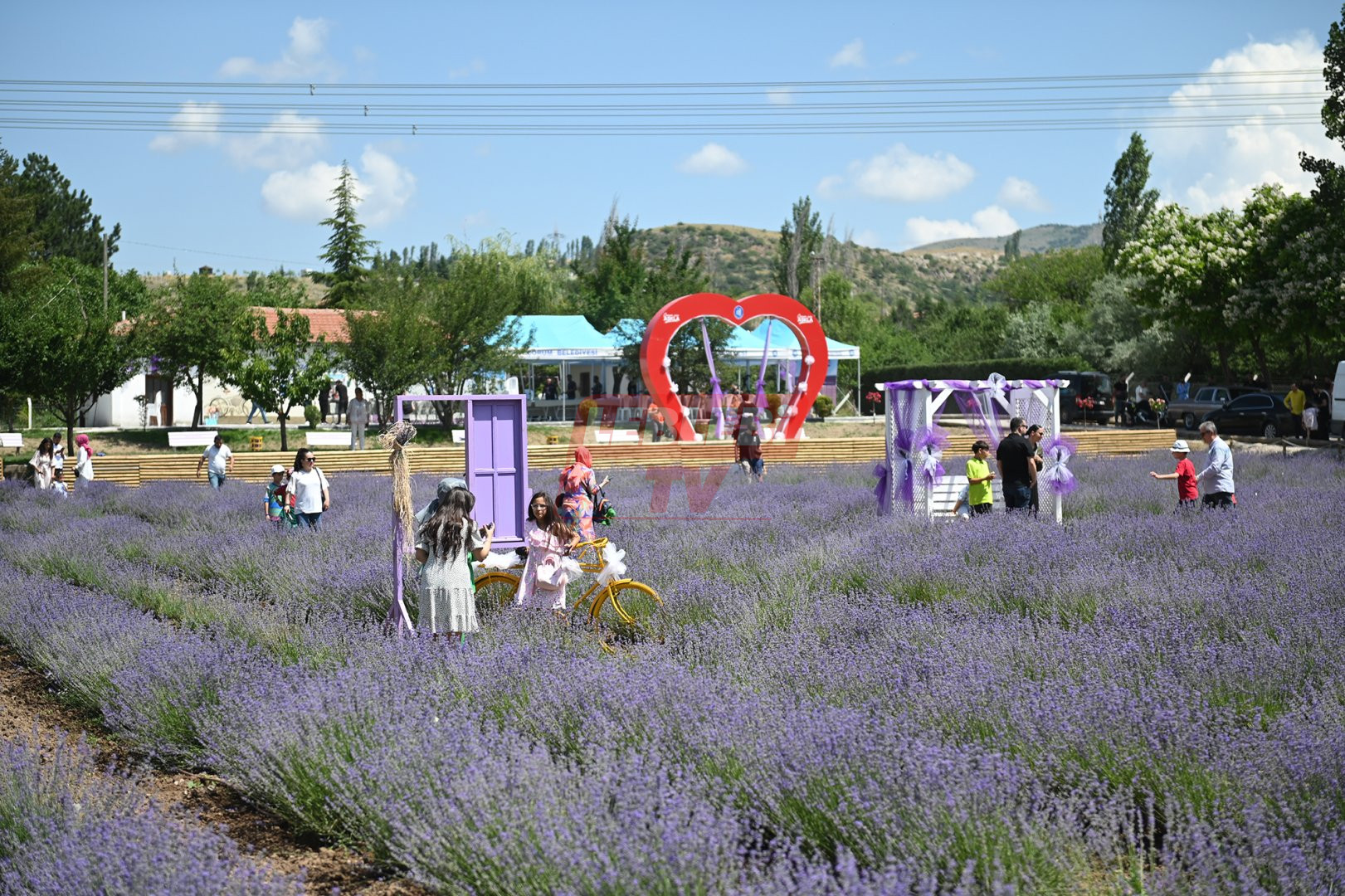 Haftasonu Lavanta Bahcesi Ne 5 Large