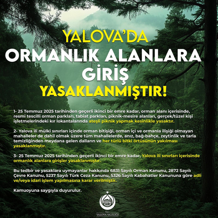 yalova-yangin-1753707577-366-x750.jpeg