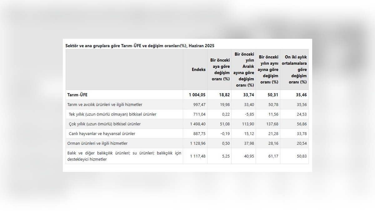 TÜİK açıkladı: Tarım ürünleri fiyatları haziranda yüzde 50,31 arttı