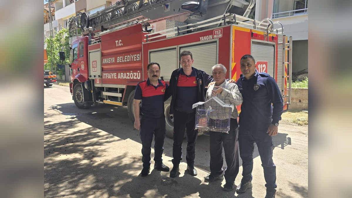 Amasya'da muhabbet kuşu macerası: İtfaiye, ağaca çıkan sahibine yardım etti