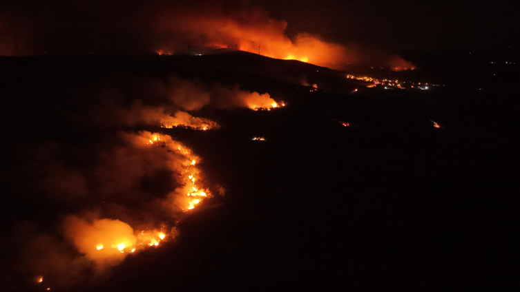 Tekirdağ'daki orman yangını Çanakkale'ye sıçradı