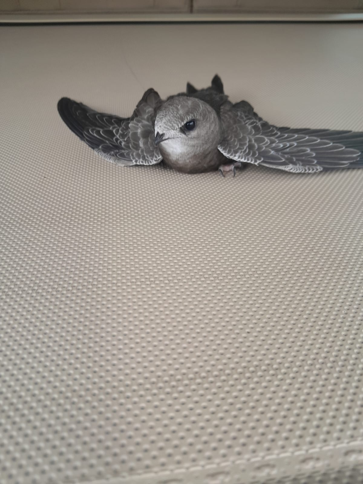 Whatsapp Image 2025 08 02 At 18.32.28