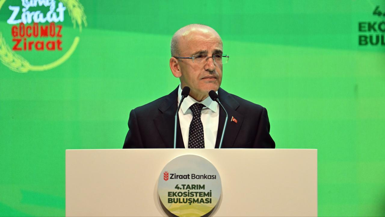 mehmet-simsek-aa-2374994.jpg