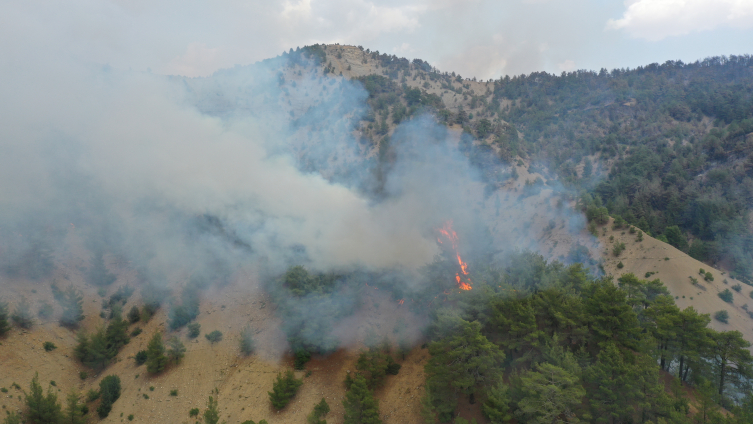 4 noktada alevlerle mücadele sürüyor