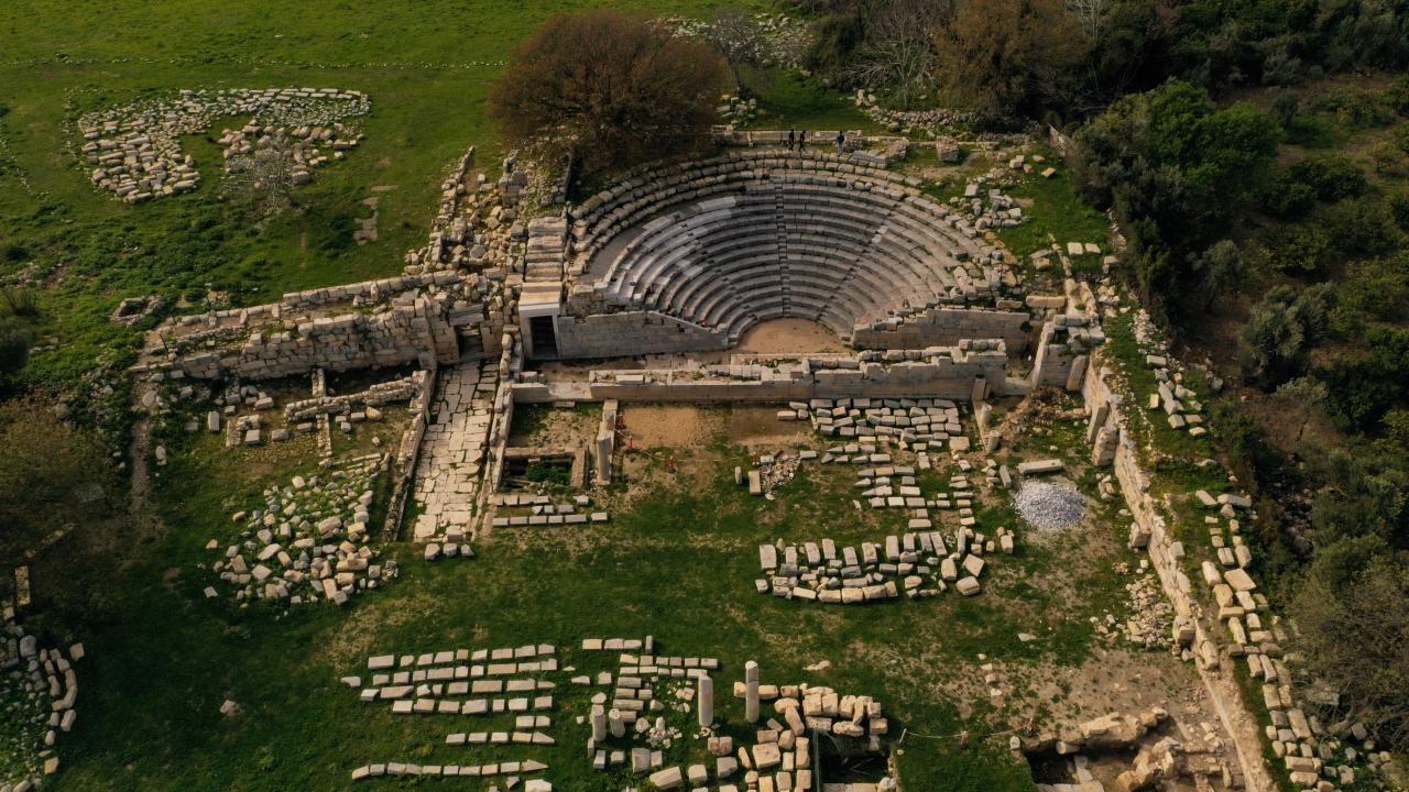 teosaa-2347952.jpg