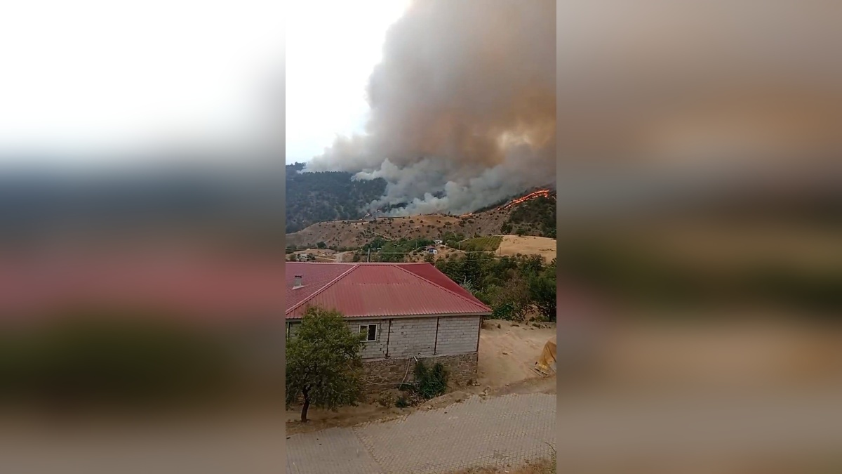 Kahramanmaraş'ta orman yangını