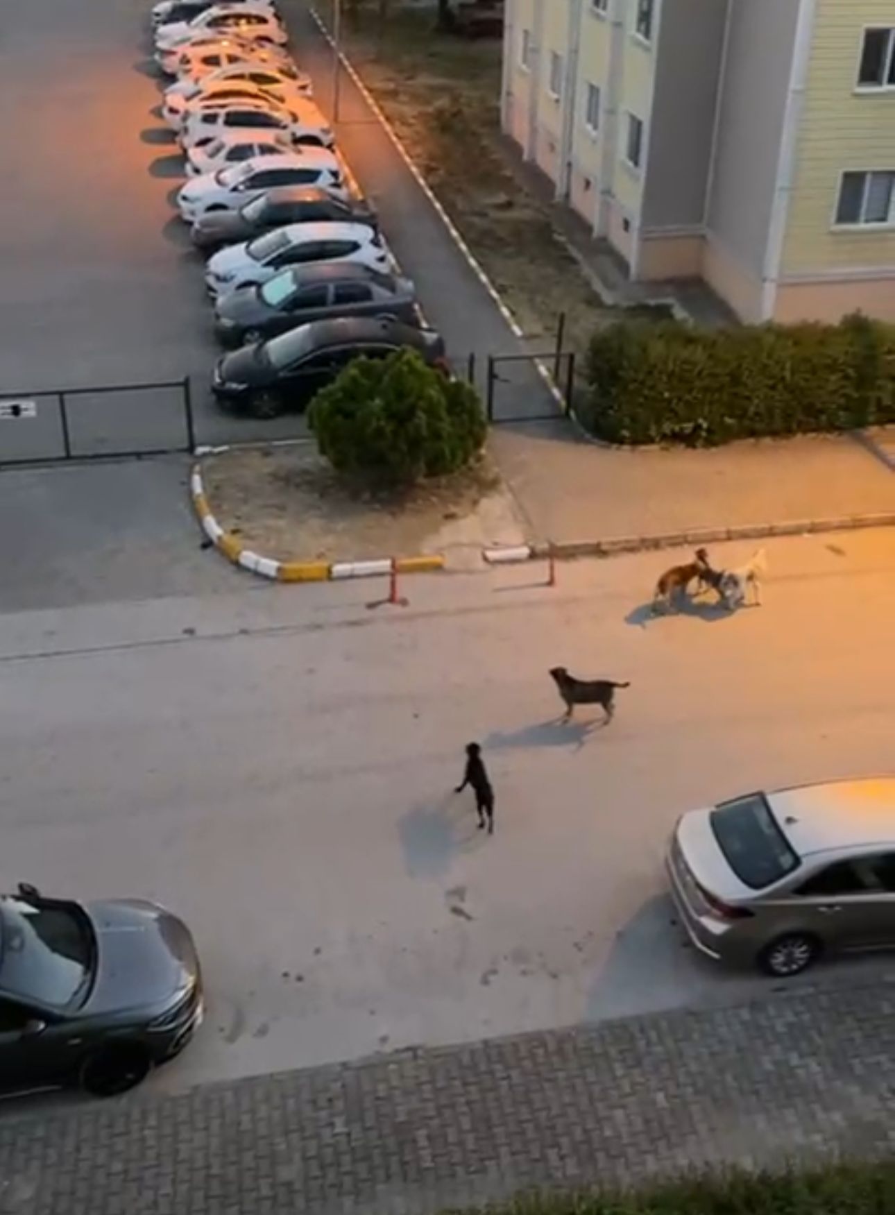 Whatsapp Image 2025 07 23 At 11.09.05