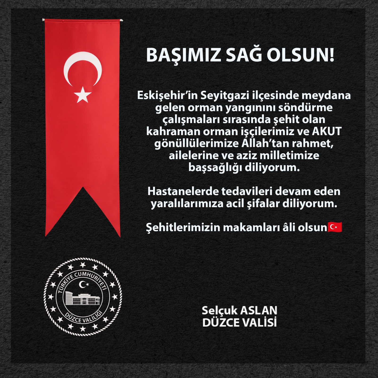 Vali̇ Aslan-17