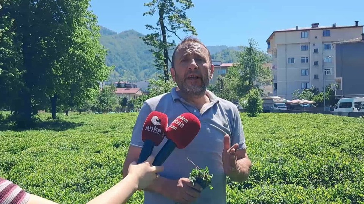 ÇAYKUR'un Yeni Yönetmeliği: Altı Ay SGK'lı Çalışmamış Olma Şartı Tepkilere Neden Oldu