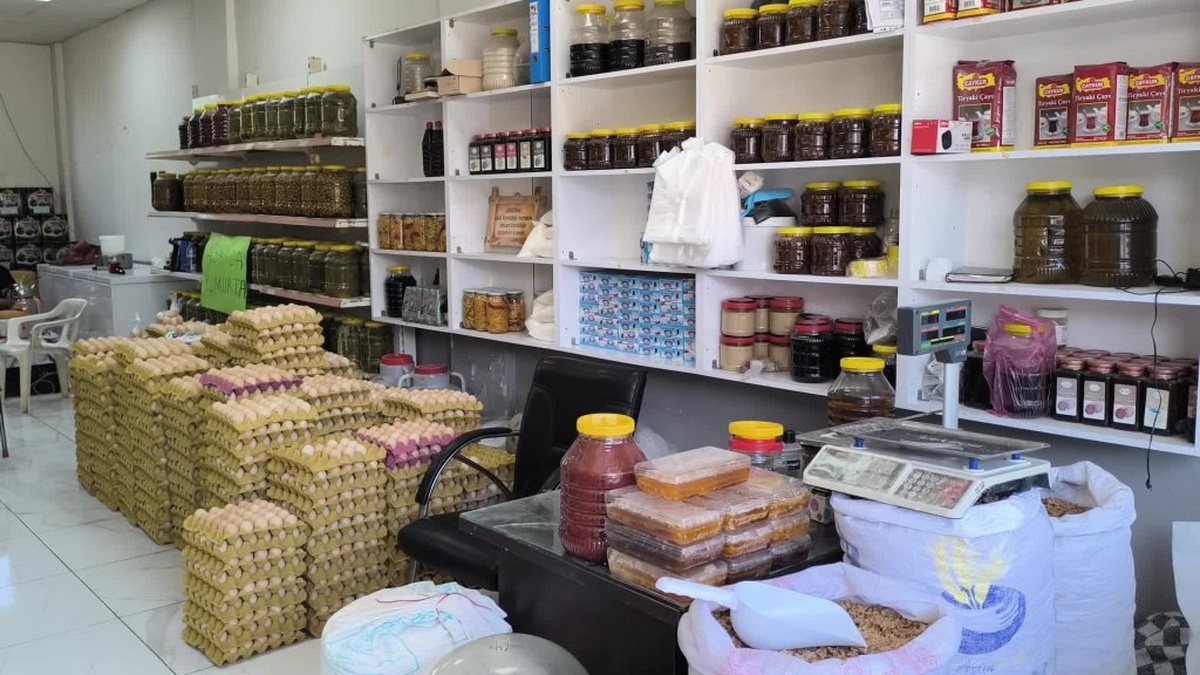 Osmaniye'de 'askıda yumurta' uygulaması