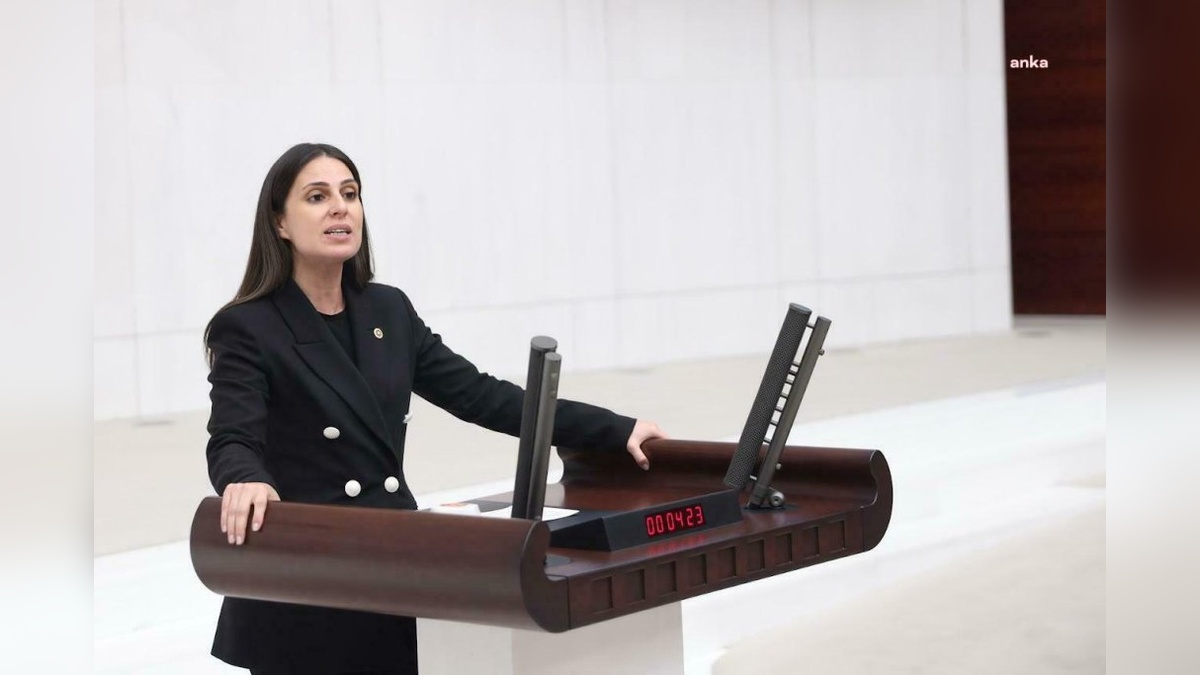 Özcan, Akköprü HES Özelleştirmesini TBMM'ye Taşıdı
