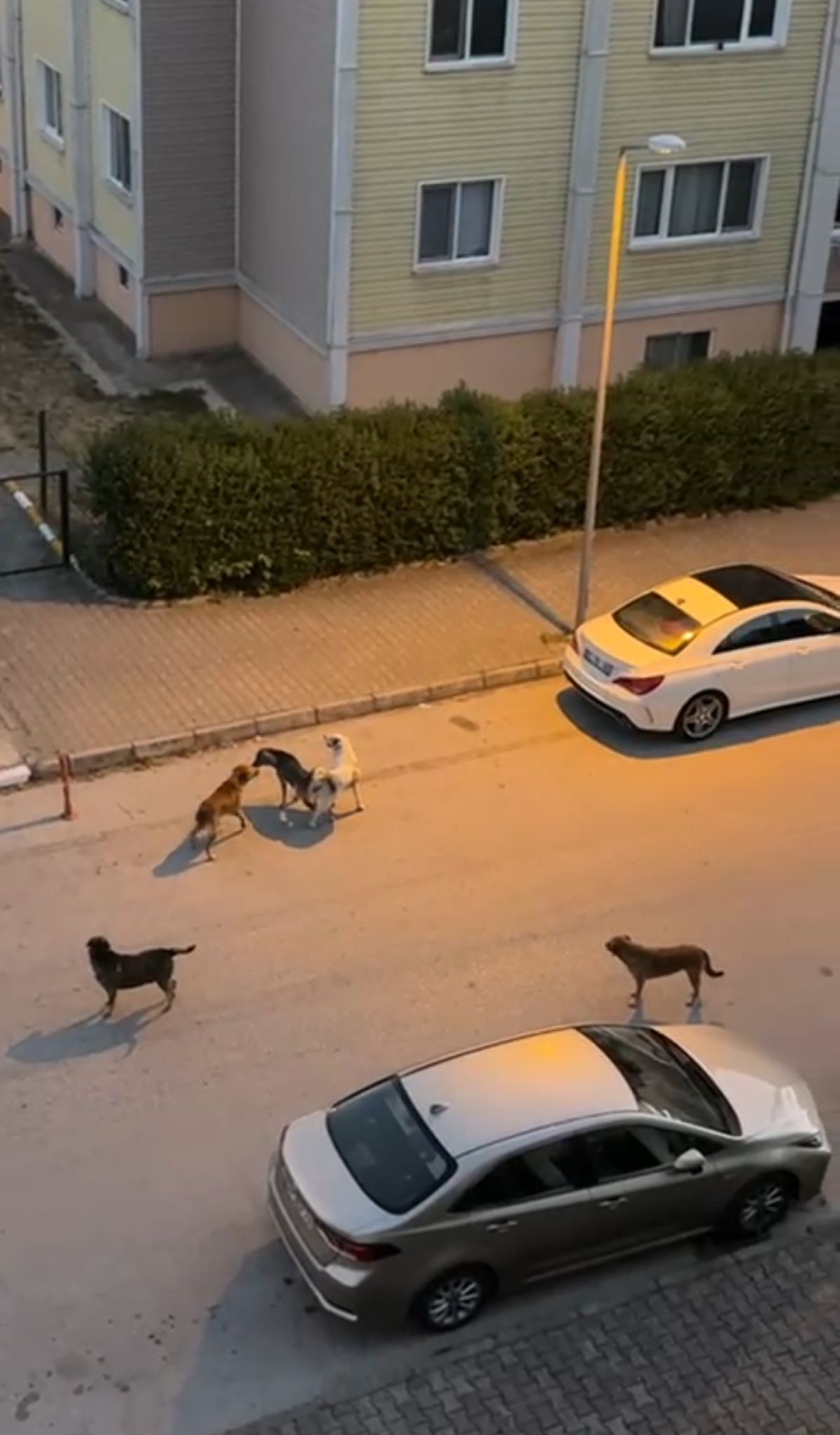 Whatsapp Image 2025 07 23 At 11.08.49