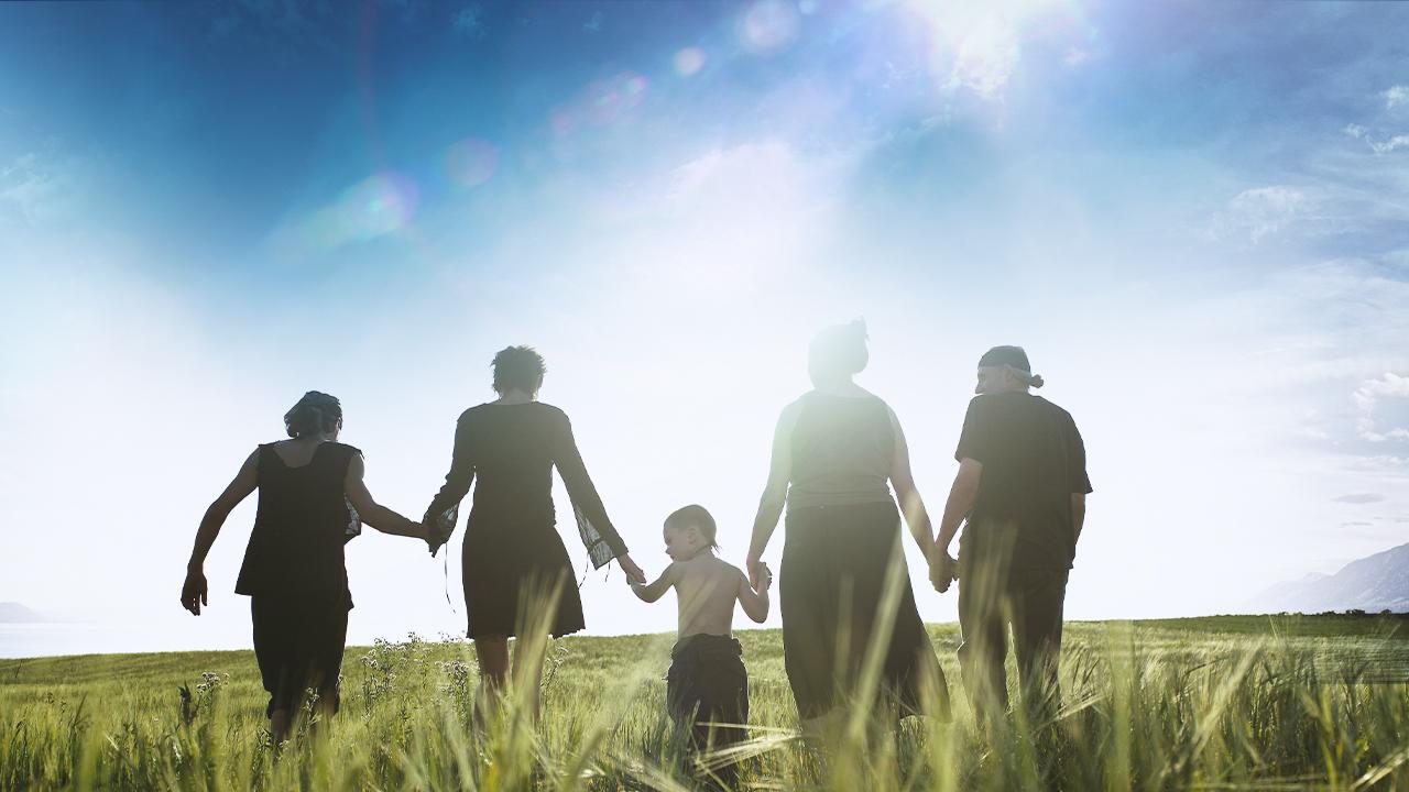 aile-2360452.jpg