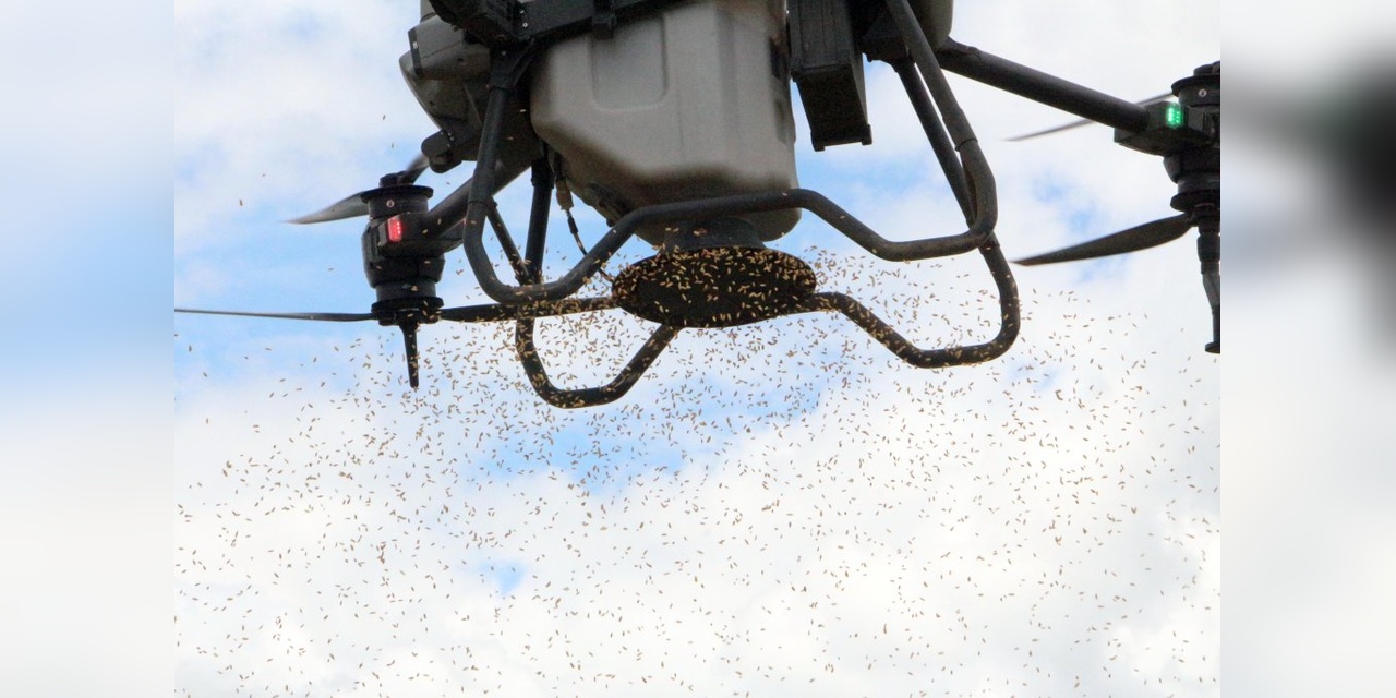 Edirne'de Çeltik Ekiminde Dron Devri: 800 Bin TL'ye Alınan Dronla Zamandan ve Paradan Tasarruf